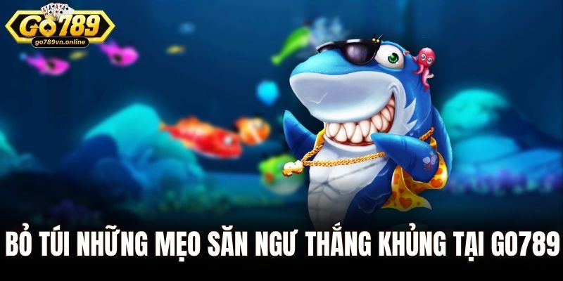 Bắn Cá 3d - Xu Hướng Giải Trí Hot Nhất Năm 2025 3 Bỏ túi những mẹo săn ngư thắng khủng tại Go789