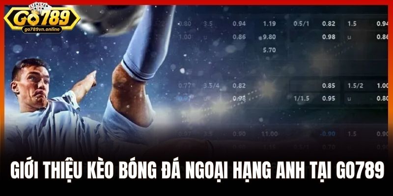 Giới thiệu kèo bóng đá Ngoại hạng Anh tại Go789