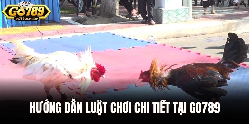 Hướng dẫn luật chơi chi tiết tại Go789