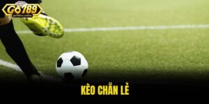 kèo chẵn lẻ