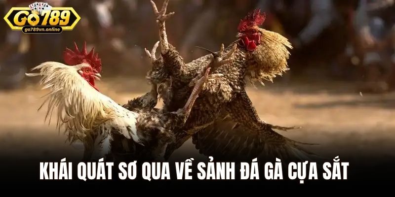 Khái quát sơ qua về sảnh đá gà cựa sắt