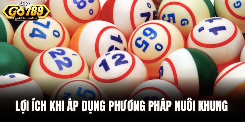 Nuôi lô khung - Dự Đoán Kết Quả Chính Xác Tại Go789 2 Lợi ích khi áp dụng phương pháp nuôi khung tại Go789