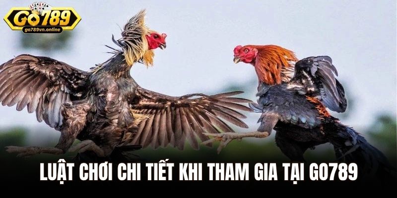 Luật chơi chi tiết khi tham gia đặt cược tại Go789