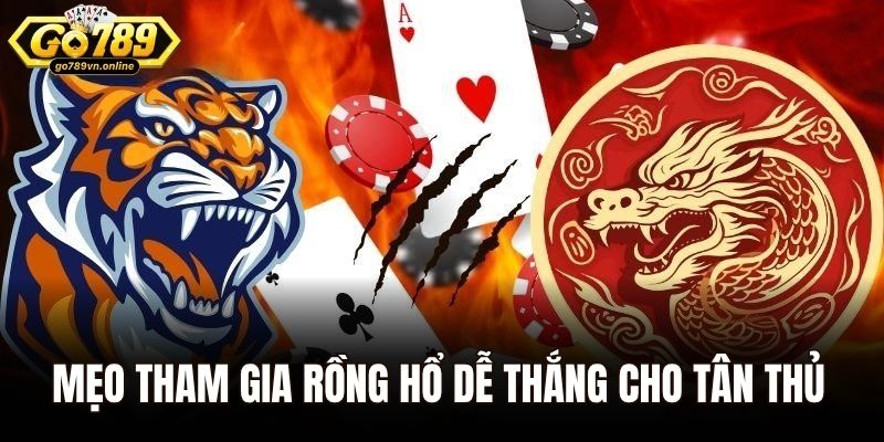Cách Chơi Rồng Hổ – Bí Quyết Dễ Chiến Thắng Tại Go789 3 Mẹo tham gia Rồng Hổ dễ thắng cho tân thủ tại Go789