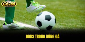 odds trong bóng đá