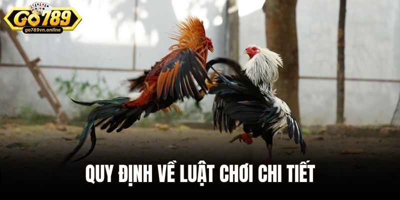 Quy định về luật chơi chi tiết