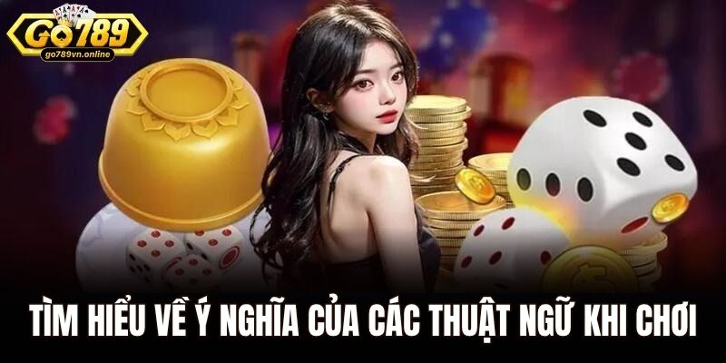 Xóc Đĩa Online – Sân Chơi Giải Trí Uy Tín Top Đầu Châu Á 2 Tìm hiểu về ý nghĩa của các thuật ngữ khi chơi xóc đĩa